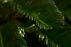 SCENE_002_0733_FINAL